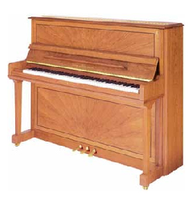 Schulze Pollmann Materpiece P6